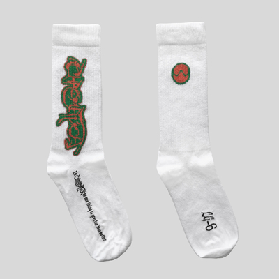 Chromatica Socks 1.jpg