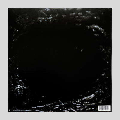 Chromatica (Deluxe Trifold Vinyl) [RSD Exclusive] 3.jpg