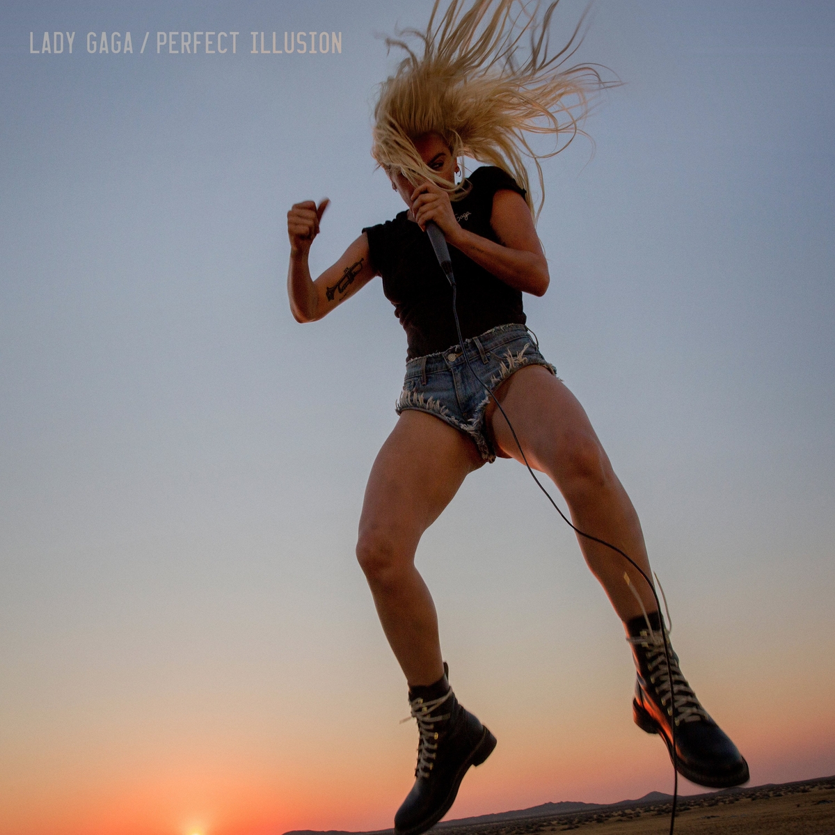 Perfect Illusion [Single]