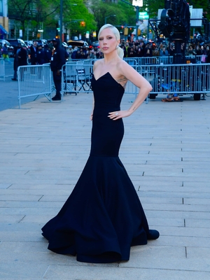gagaimages_0089.jpg
