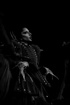 DSC08553.jpeg