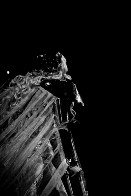 DSC09216.jpeg