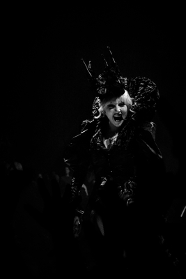 DSC09817.jpeg