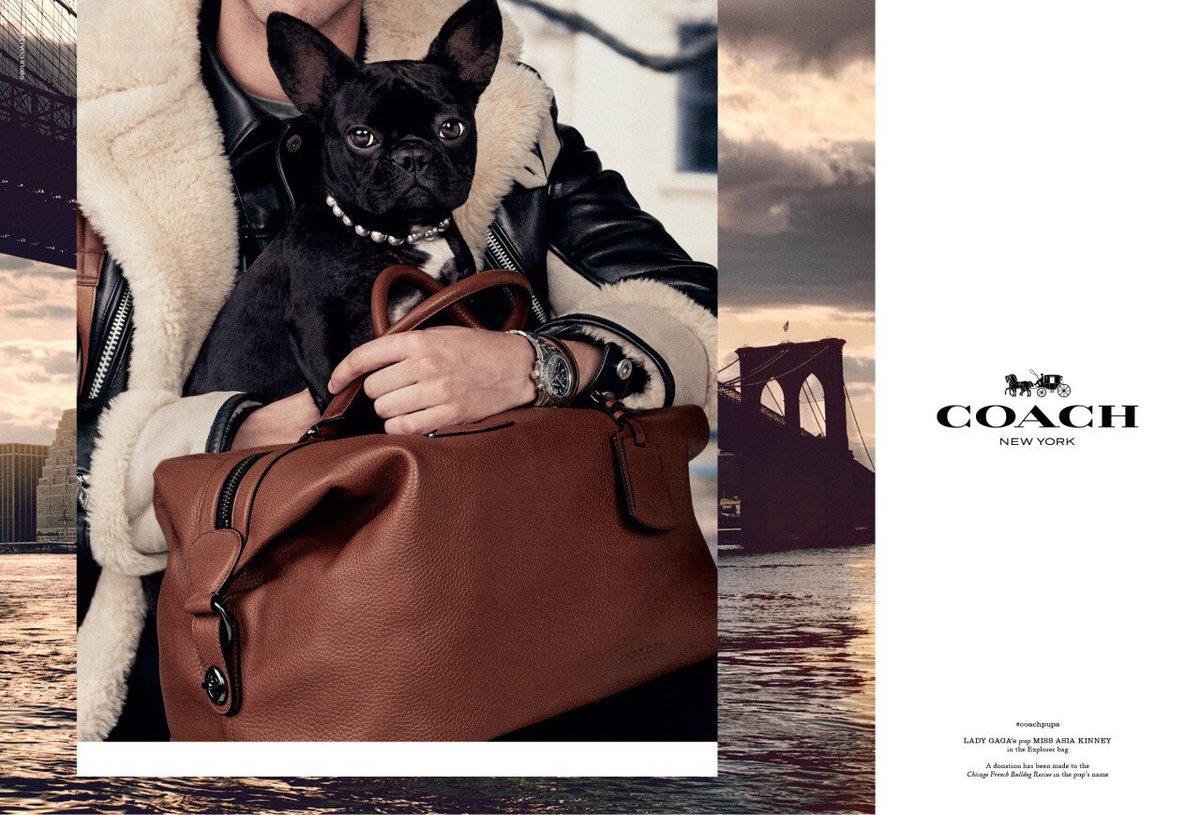 Coach Promotional Images